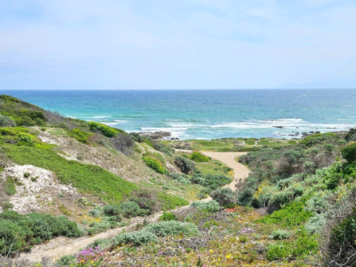 3 Bedroom Property for Sale in Romansbaai Estate Western Cape